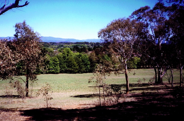 On top of Dog Hill